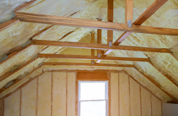 Best Residential Insulation in Hayti, MO