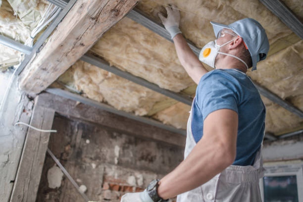 Best Types of Insulation in Hayti, MO