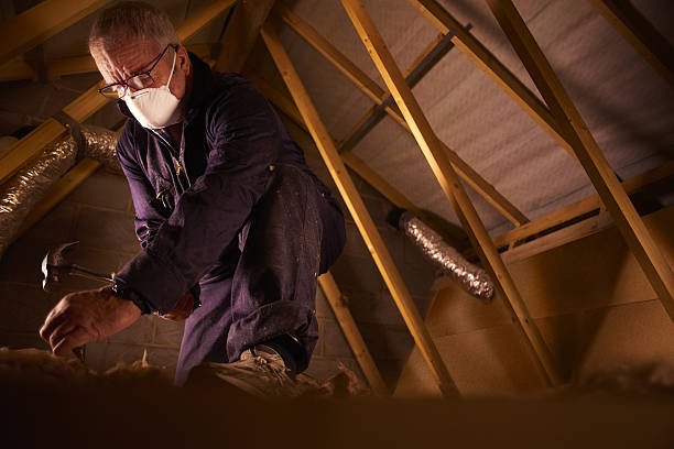 Best Insulation Maintenance and Repair in Hayti, MO