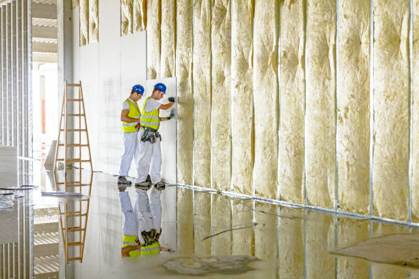 Best Insulation Maintenance and Repair in Hayti, MO
